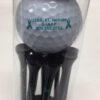 Golf Balls and Tees in a Tube