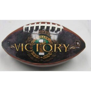 Full Size Regulation Photo Football