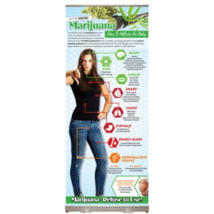 Marijuana: How it Affects the Body Presentation Display