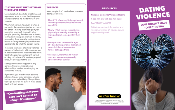 Dating Violence: Love Doesn't Have To Be This Way Pamphlet - Image 2