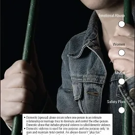 Preventing Domestic Violence Slide Chart