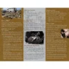 Traumatic Stress Disorder Pamphlet - Image 3