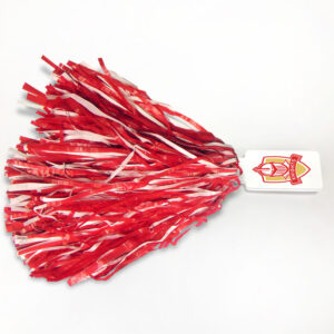 Full Color Stick Pom Pom